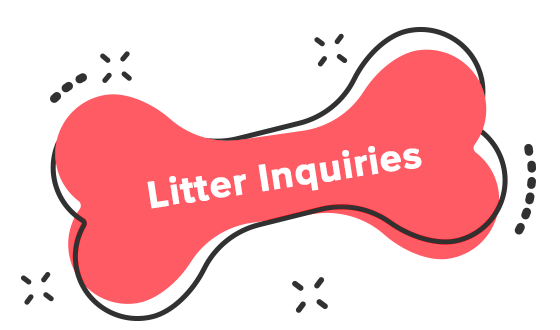 Litter Inquiries